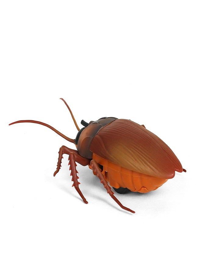 Hamleys Lifelike Moving Cheeky Cockroach, 6Y+, Brown | Safe & Gift-Friendly - Image 4
